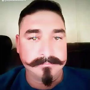 Meet your Posher, Elplebe